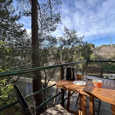 Apartment Tranquille A 300m De La Plage, Animaux Acceptes - Fr-1-225c-153