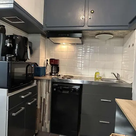 Tranquille A 300m De La Plage, Animaux Acceptes - Fr-1-225c-153 Apartment *